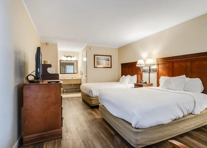 Oceanus - Rehoboth Beach